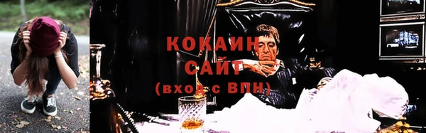 трава Абаза