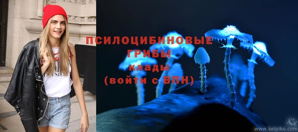 трава Абаза