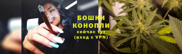 трава Абаза