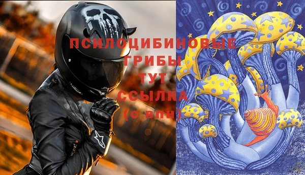 стаф Абдулино