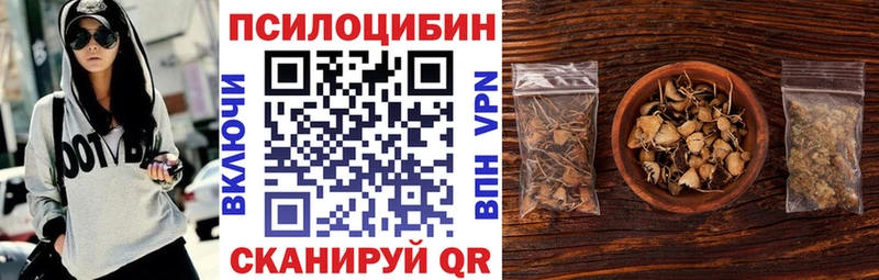 Галлюциногенные грибы Cubensis Прокопьевск